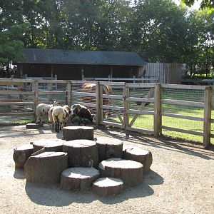 Queens Zoo 2010 - General view in Childrens Zoo
