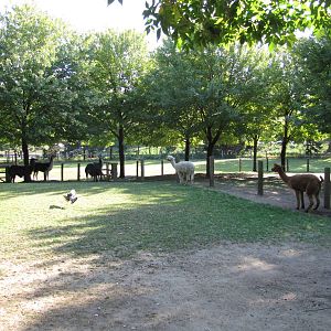 Queens Zoo 2010 - General view in Childrens Zoo