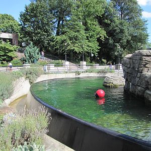 Prospect Park Zoo 2010 - Part of Sea Lion Pool in Center Court