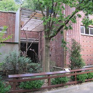 Prospect Park Zoo 2010 - Kookaburra aviary