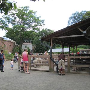 Prospect Park Zoo 2010 - General view in Childrens Zoo