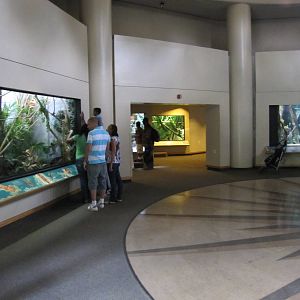 Prospect Park Zoo 2010 - Inside Animal Lifestyles building