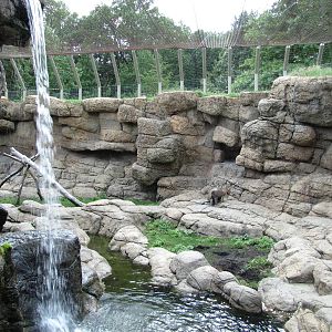 Prospect Park Zoo 2010 - First part of Hamadryas Baboon exhibit