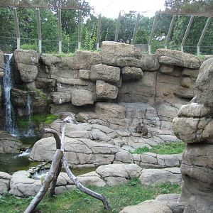 Prospect Park Zoo 2010 - Second part of Hamadryas Baboon exhibit
