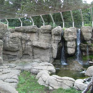 Prospect Park Zoo 2010 - Third part of Hamadryas Baboon exhibit