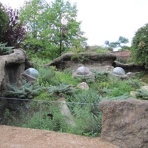 Prospect Park Zoo 2010 - Prairie Dog exhibit in Discovery Trail