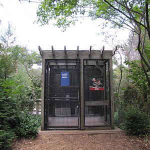 Prospect Park Zoo 2010 - Closed Free-flight Aviary in Discovery Trail