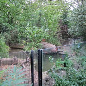 Prospect Park Zoo 2010 - River Otter exhibit in Discovery Trail