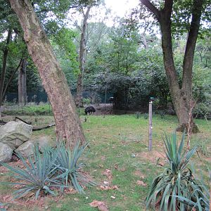 Prospect Park Zoo 2010 - Part of Mixed Australian enclosure