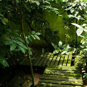 Melaka Butterfly and Reptile Park - walk-through snake exhibit