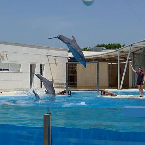 Aquopolis - La Pineda