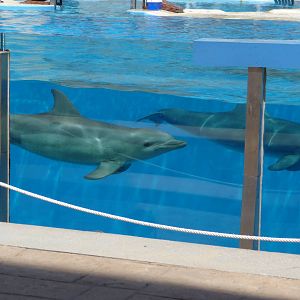 Aquopolis - La Pineda