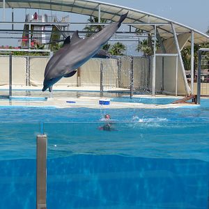 Aquopolis - La Pineda