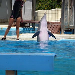 Aquopolis - La Pineda