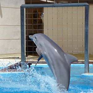 Aquopolis - La Pineda