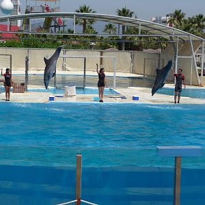 Aquopolis - La Pineda