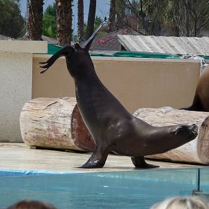 Aquopolis - La Pineda