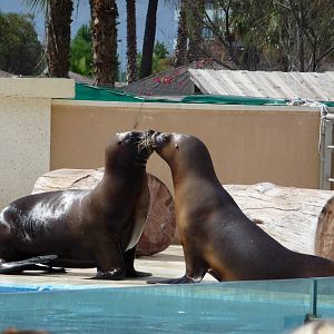 Aquopolis - La Pineda