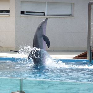 Aquopolis - La Pineda