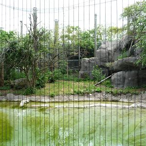 Indianapolis Zoo - Amur Tiger Exhibit