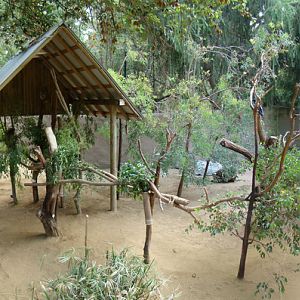 Australian exhibit at the Los Angeles Zoo