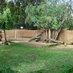 Lowland Anoa exhibit at the Los Angeles Zoo