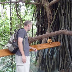 Omaha's Henry Doorly Zoo - Lied Jungle