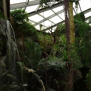 Omaha's Henry Doorly Zoo - Lied Jungle