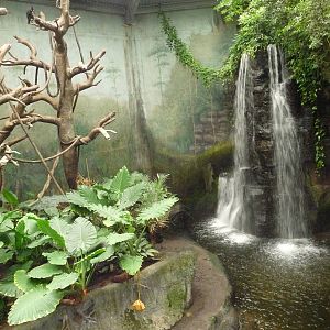 Omaha's Henry Doorly Zoo - Lied Jungle