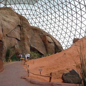 Omaha's Henry Doorly Zoo - Desert Dome