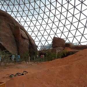 Omaha's Henry Doorly Zoo - Desert Dome