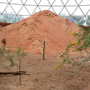 Omaha's Henry Doorly Zoo - Desert Dome