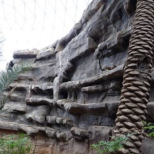 Omaha's Henry Doorly Zoo - Desert Dome
