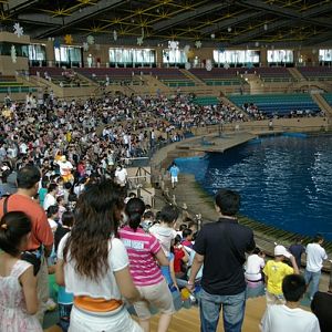 Marine Mammal Pavilion