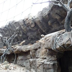 Omaha's Henry Doorly Zoo - Desert Dome