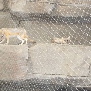 Omaha's Henry Doorly Zoo - Desert Dome