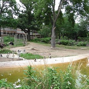 Omaha's Henry Doorly Zoo - Savannah + Penguins