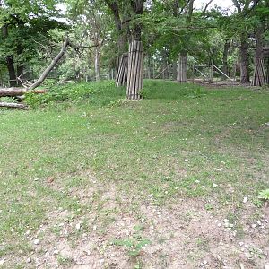 Omaha's Henry Doorly Zoo - Bongo Paddock