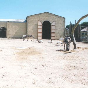 Addax, Giraffe, Ostrich, Zebra House - Heythrop 2003