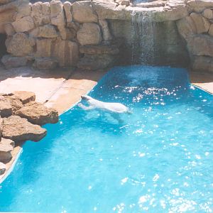 Bear Enclosure - Heythrop 2003