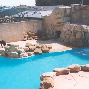 Bear Enclosure - Heythrop 2003
