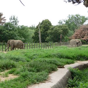 Omaha's Henry Doorly Zoo - African Elephant Paddock