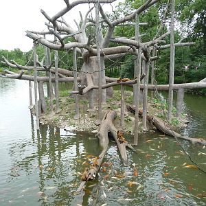 Omaha's Henry Doorly Zoo - Monkey Island