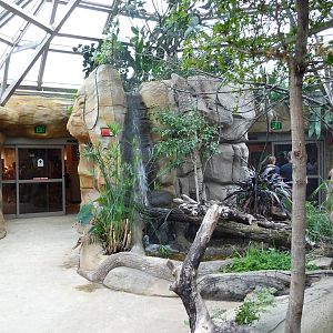 Omaha's Henry Doorly Zoo - Butterfly & Insect Pavilion
