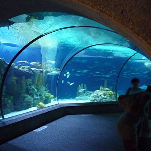 Omaha's Henry Doorly Zoo - Scott Aquarium