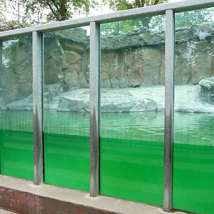 Omaha's Henry Doorly Zoo - Polar Bear Pool