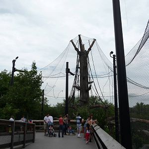 Omaha's Henry Doorly Zoo - Orangutan Exhibit