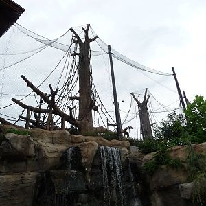 Omaha's Henry Doorly Zoo - Orangutan Exhibit