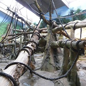 Omaha's Henry Doorly Zoo - Orangutan Indoor Exhibit