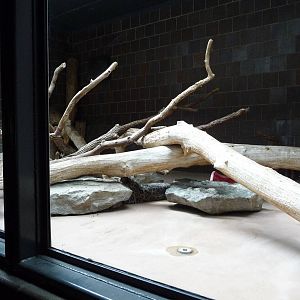 Omaha's Henry Doorly Zoo - Snow Leopard Exhibit
